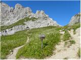 Palafavera - Rifugio Torrani